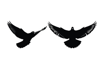 Two silhouetted birds flying against a white background