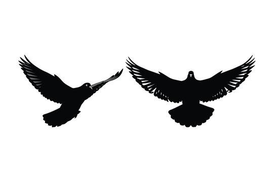 Two silhouetted birds flying against a white background