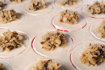 Detailed view of the savory filling, a mix of chopped sauerkraut and wild mushrooms, placed on a circular piece of dough for pierogi making