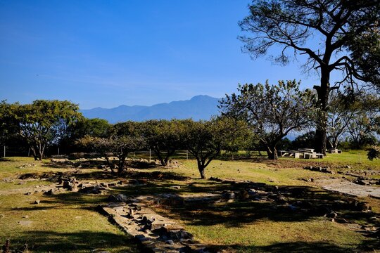 Zapotec Ruins at Monte Alban with Trees and Mountain View (Monte Alban, Oaxaca, Mexico)

