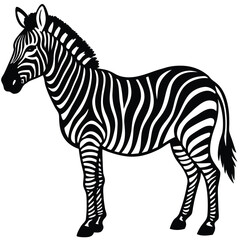 zebra vector icon