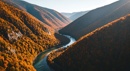 Stunning autumn forest and river valley scenery