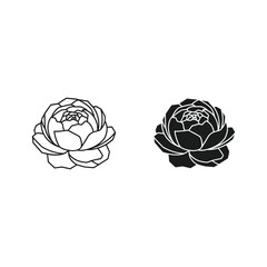 Elegant line art and silhouette of a blooming peony flower