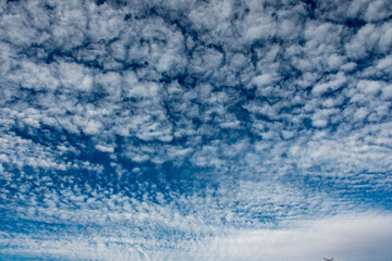 nubes blancas en forma de copos con cielo azul radiante 