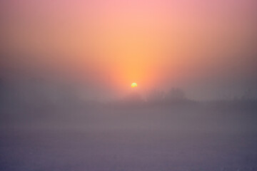 Foggy sunrise over misty tree silhouettes