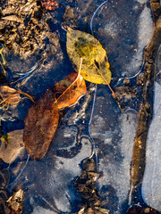 Formen im Eis auf gefrorenem Boden