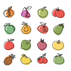 Sheet of sixteen minimal line art fruit outlines with colored background shapes.Isolated transparent background ( include cut-out PNG file )