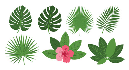 A vibrant set of green tropical leaves like monstera and palm along with a pink hibiscus flower isolated on a white background.