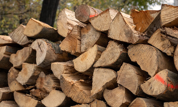 Pile of cut wood logs outside on a street - Powered by Adobe