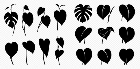 Silhouetted botanical illustration featuring various leaf shapes and plant types, creating a natural and graphic design element.