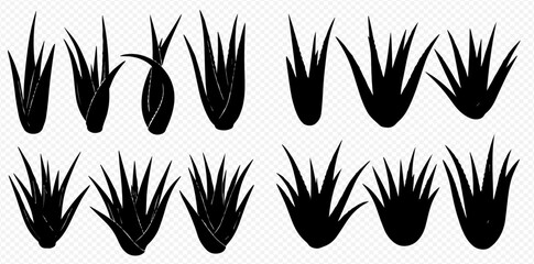 Silhouetted tufts of grass in various shapes and sizes on a transparent background.