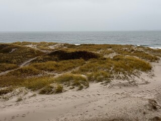 Fu&szlig;spuren auf einem Weg durch die D&uuml;nen von Skagen, D&auml;nemark