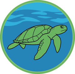 Green sea turtle swimming underwater