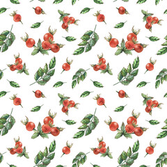 rosehip berries and leaves, seamless botanical watercolor pattern for textiles, tableware, kitchen goods, and packaging

