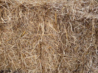 Rustic autumn harvest hay texture for background design