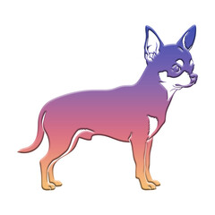Illustration of vibrant chihuahua dog illustration with a gradient color scheme, showcasing a small domestic pet in a playful and artistic style isolated on transparent background