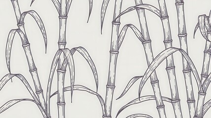 Fototapeta premium Vintage Sugarcane Drawing Highlighting Natural Agriculture Line Art Style