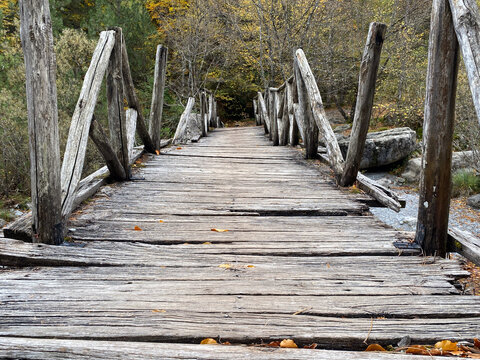 Rustic wooden bridge in autumn forest pathway