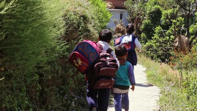 Raw footage of Indian village school children carrying backpacks and walking home after school on narrow rural pathway in countryside India.