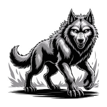 wolf illustration design 