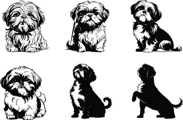 Shih Tzu dog illustration set in black and white style, detailed sketch portraits and poses for pet artwork, design and creative projects