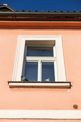 Two pigeons perched on a window sill of a peach colored building facade under a clear blue sky, showing urban wildlife
