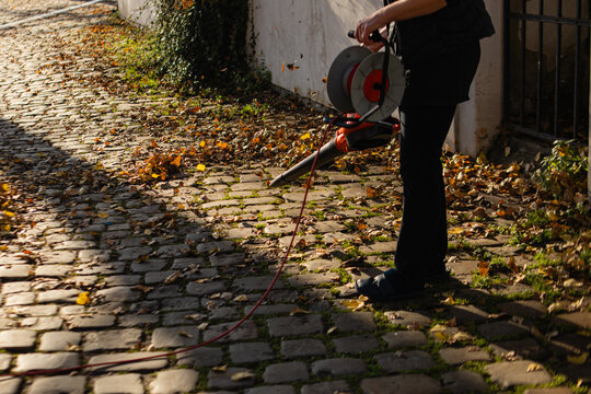 Person using an electric leaf blower to clean fallen autumn leaves from a cobblestone path, performing fall cleanup