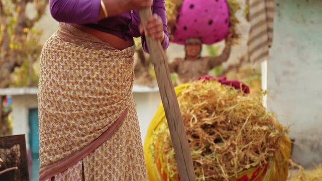An elderly woman beats millet with a wooden stick while another woman waits behind her for her turn, using the traditional rural threshing method that reflects hard village life in the mountains of Ut
