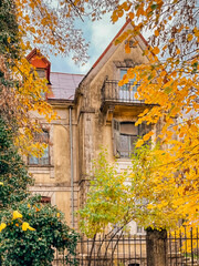 historic mansion facade with golden leaves, ornate ironwork, cracked stone and climbing ivy under moody sky;