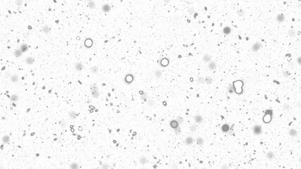 Snowfall. Winter heavy snowflakes. Overlay texture isolated  background PNG transparent