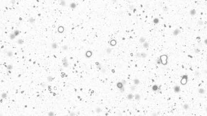 Snowfall. Winter heavy snowflakes. Overlay texture isolated  background PNG transparent