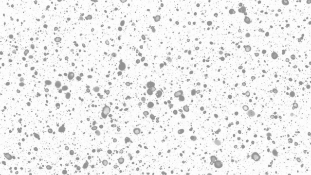 Snowfall. Winter heavy snowflakes. Overlay texture isolated  background PNG transparent