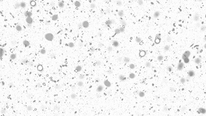 Snowfall. Winter heavy snowflakes. Overlay texture isolated  background PNG transparent