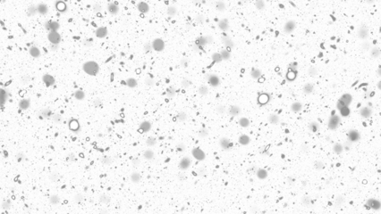 Snowfall. Winter heavy snowflakes. Overlay texture isolated  background PNG transparent