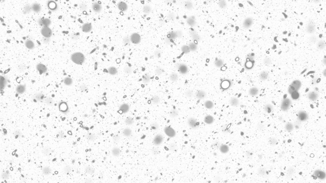 Snowfall. Winter heavy snowflakes. Overlay texture isolated  background PNG transparent