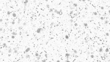 Snowfall. Winter heavy snowflakes. Overlay texture isolated  background PNG transparent