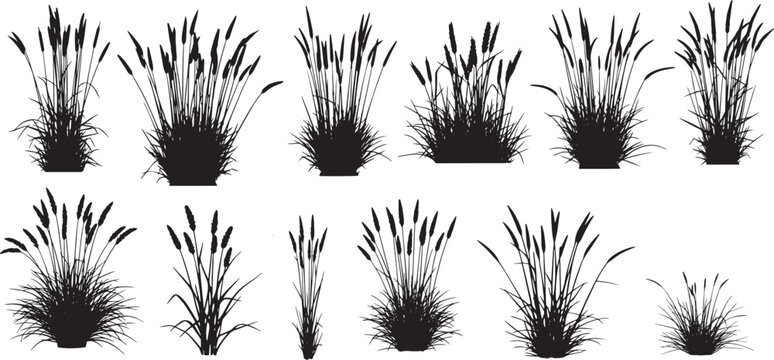 collection of black vector silhouettes of various marsh plants and wild grasses, including cattails and reeds.