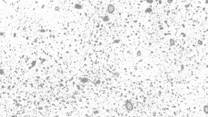 Snowfall. Winter heavy snowflakes. Overlay texture isolated  background PNG transparent