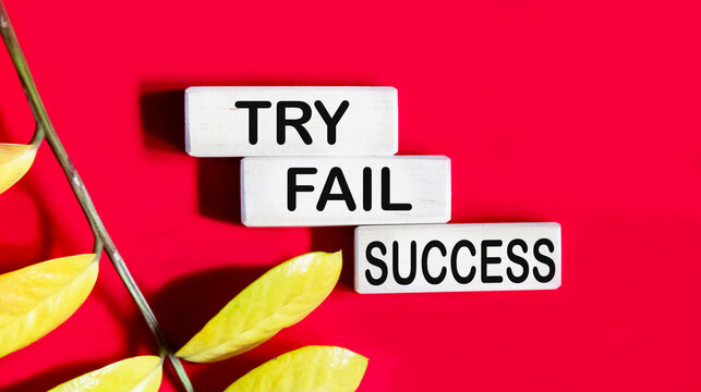 Try Fail Success symbol. Concept words Try Fail Win on wooden blocks. Beautiful red background with plant.