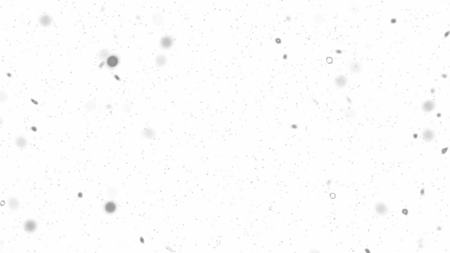 Snowfall. Winter heavy snowflakes. Overlay texture isolated  background PNG transparent