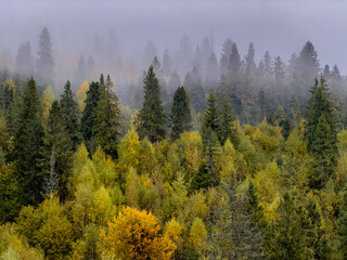 Misty Autumn Rain Clouds over Ukrainian Carpathian Mountains.