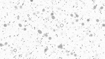 Snowfall. Winter heavy snowflakes. Overlay texture isolated  background PNG transparent