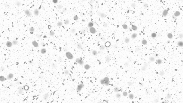 Snowfall. Winter heavy snowflakes. Overlay texture isolated  background PNG transparent