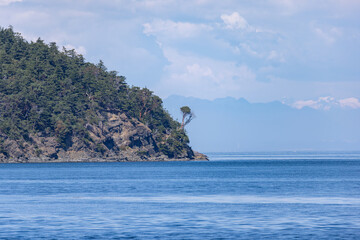 Fototapeta premium Lone Tree on Rocky Point Over Calm Coastal Waters