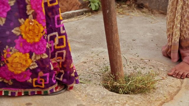 An elderly woman beats millet with a wooden stick according to the traditional threshing method used in the village of Uttrakhand, India