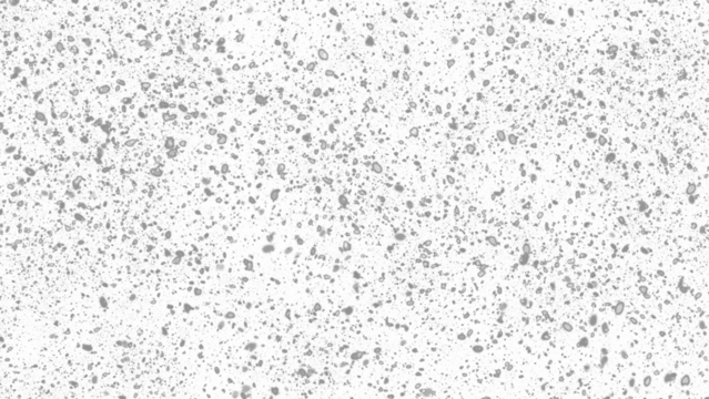 Snowfall. Winter heavy snowflakes. Overlay texture isolated  background PNG transparent - Powered by Adobe