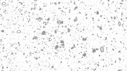 Snowfall. Winter heavy snowflakes. Overlay texture isolated  background PNG transparent