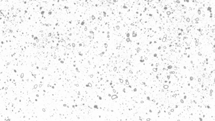 Snowfall. Winter heavy snowflakes. Overlay texture isolated  background PNG transparent