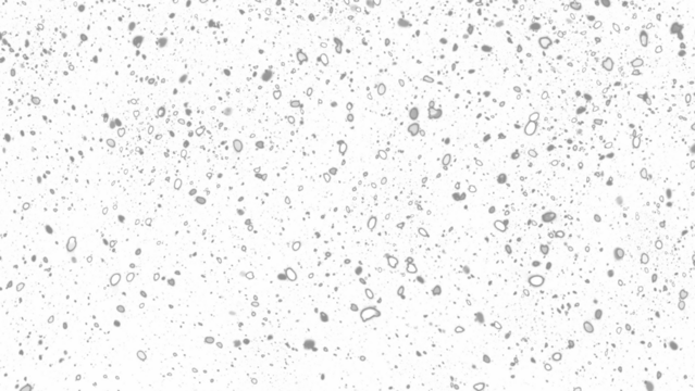 Snowfall. Winter heavy snowflakes. Overlay texture isolated  background PNG transparent