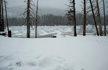 Snow covers Yellowstone park in the end of May. 
Yellowstone is the first national park for all...